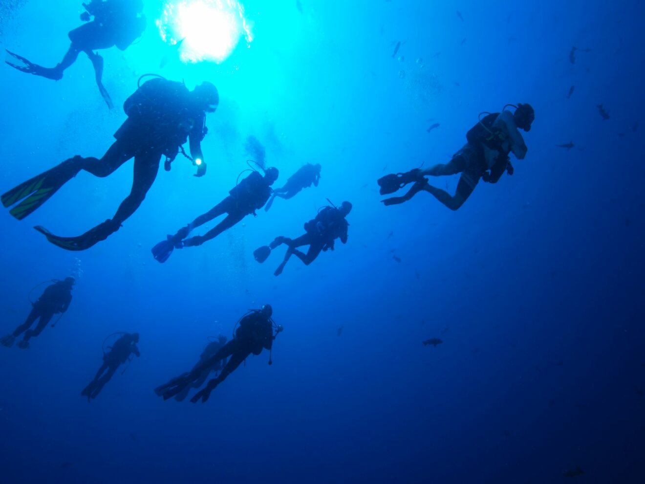 GR 01 18 Palau UW 083