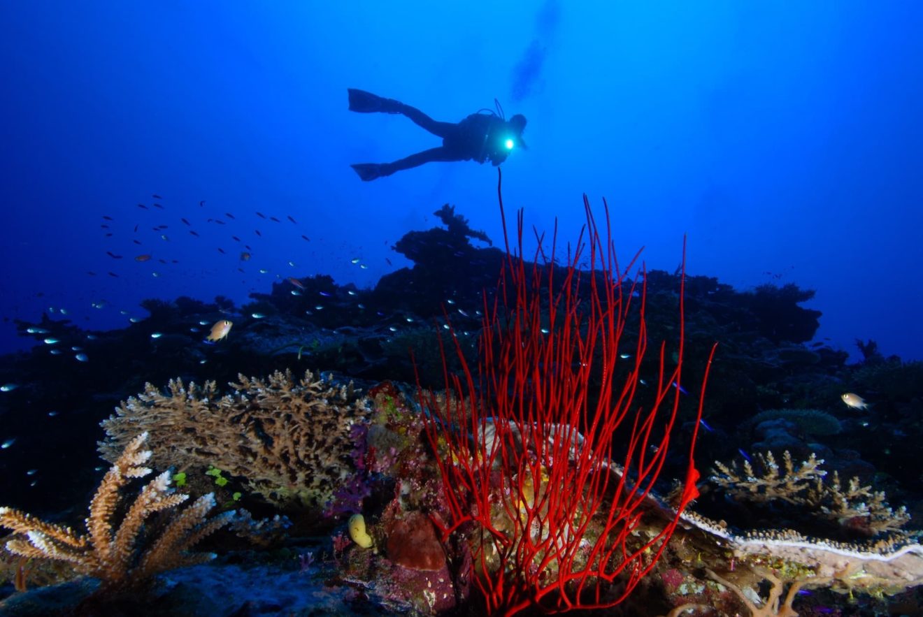 GR 06 18 Fiji 017