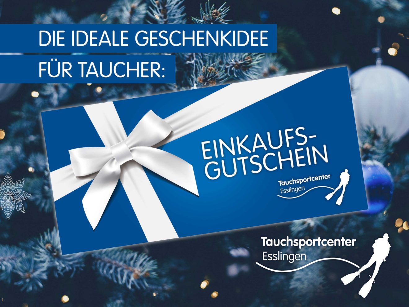 TSC_Xmas_Einkaufsgutschein_2019_2000x1500