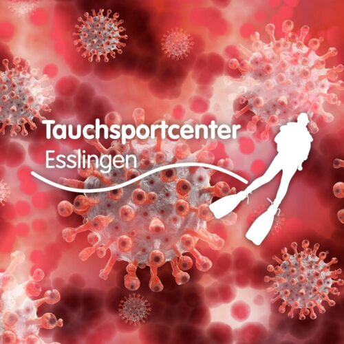 News Tsc Esslingen