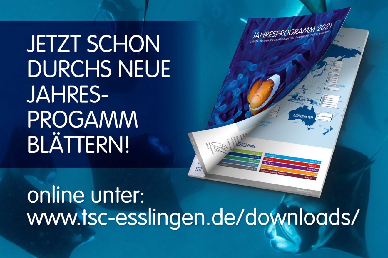 Ankündigung Jahresprogramm