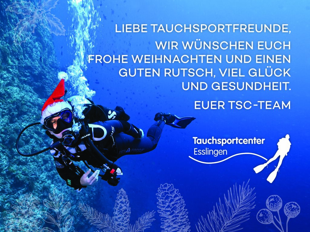 TSC_Xmas_2021_4000x3000pixe_2l