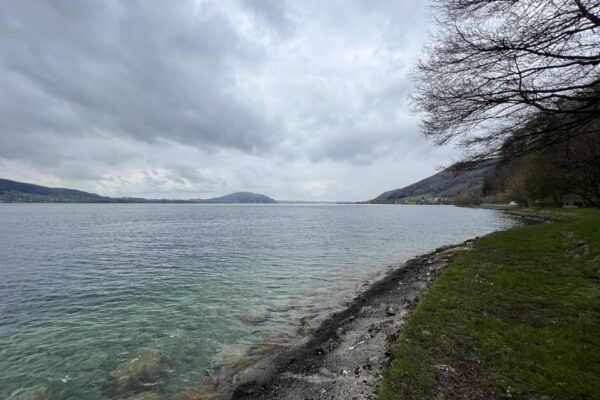 IMG_3911
