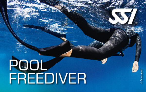 SSI Pool Freediver-Kurs<br>mit Nik Linder