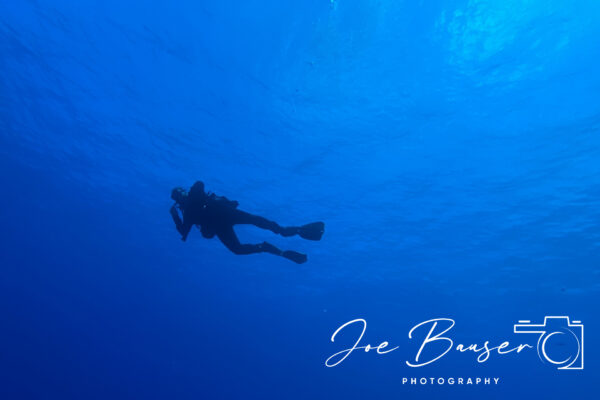 SportDiver_20240902_135443_1920x1280