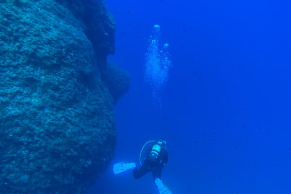 SportDiver_20240902_135511_1280x1920