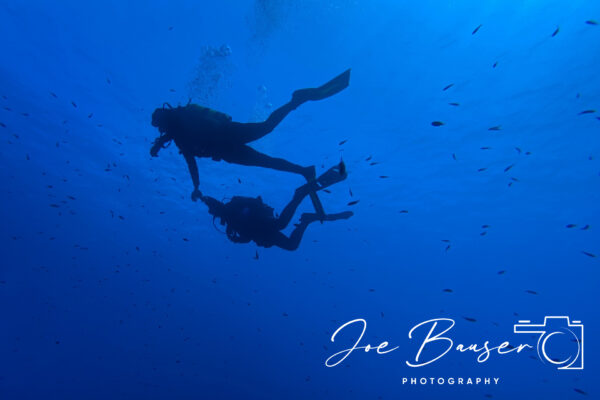 SportDiver_20240902_141532_1920x1280