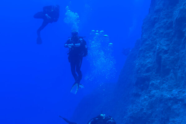 SportDiver_20240903_110510_1280x1920
