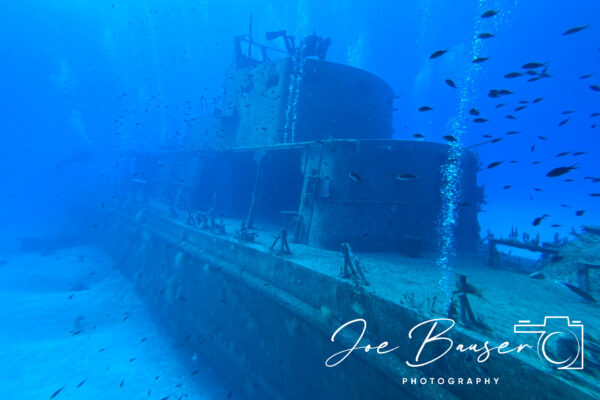 SportDiver_20240906_095514_1920x1280