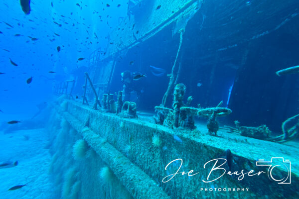SportDiver_20240906_095536_1920x1280