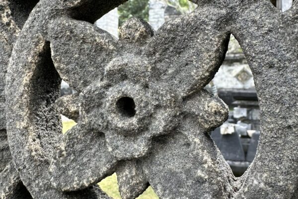 IMG_1887_WS