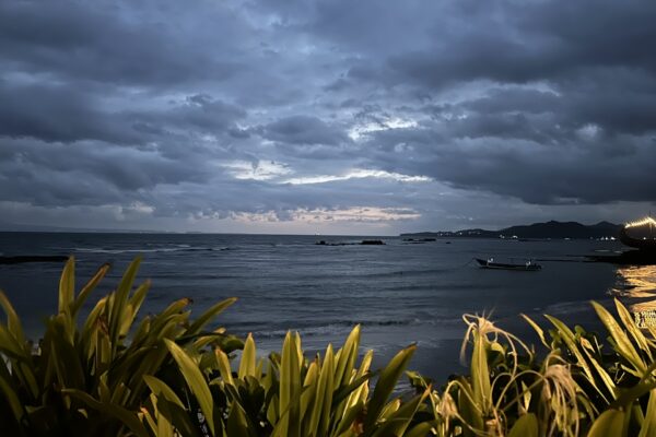 IMG_2289_WS