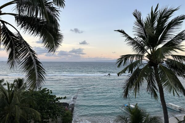 IMG_2348_WS