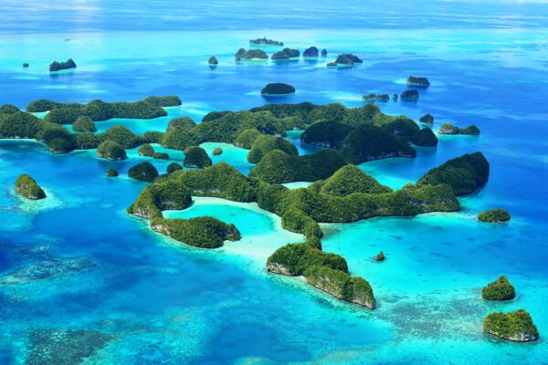 Taucherparadies Palau/Mikronesien