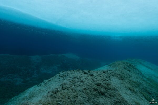 Eistauchen-111_1920x1280