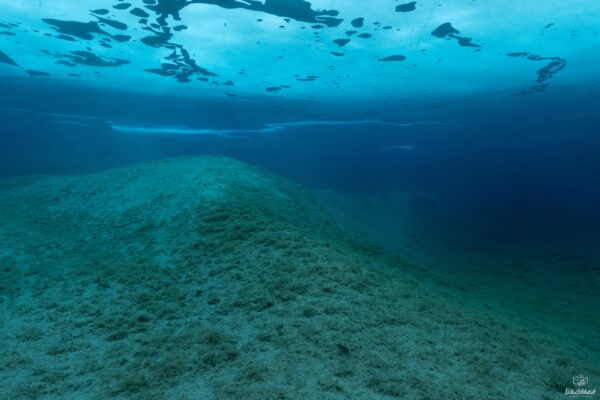 Eistauchen-137_1920x1280