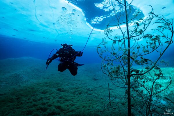 Eistauchen-149_1920x1280