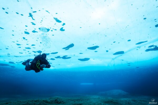 Eistauchen-181_1920x1280