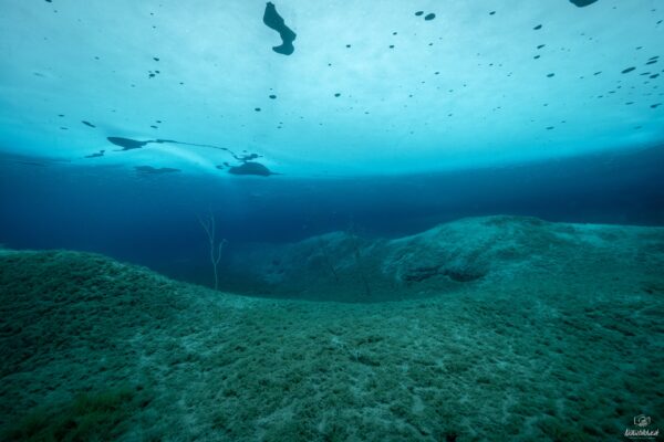 Eistauchen-195_1920x1280