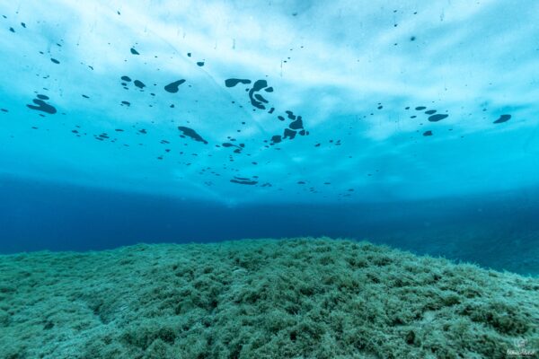 Eistauchen-88_1920x1280