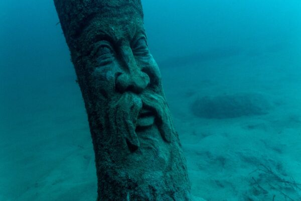 Eistauchen_1280x1920