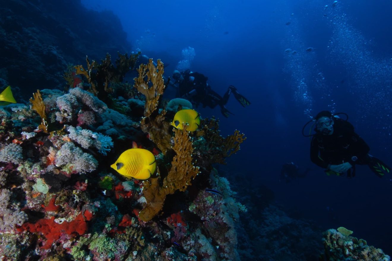 marsa-alam-aegypten