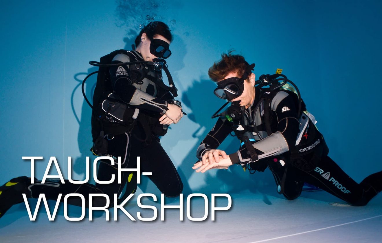 tauch-workshop